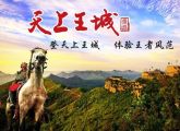 天上王城