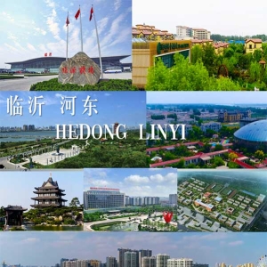 河东区简介