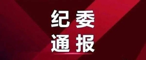 兰山区纪委监委 关于4起违反中央八项规定精神 典型问题的通报 ...