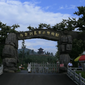 马泉休闲园